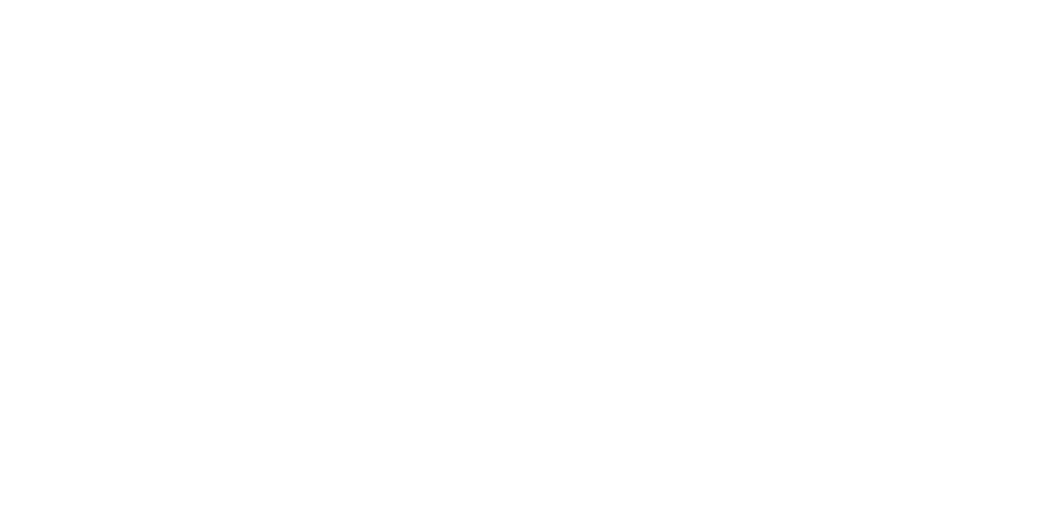 SMASH MEDIA Logo